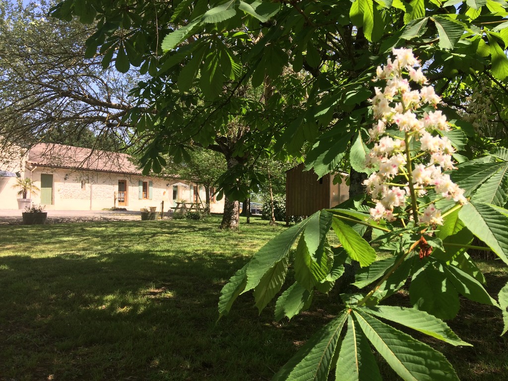 jardin chateau haut baron