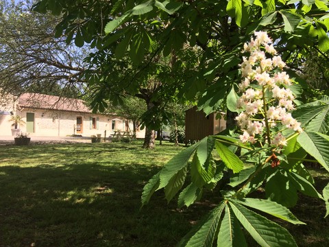 jardin chateau haut baron